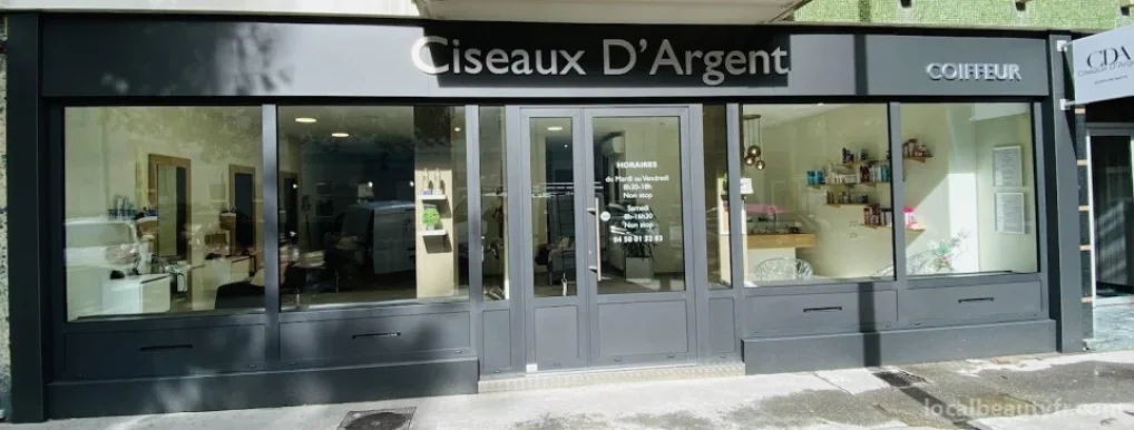 Ciseaux d'argent, Annecy - Photo 1