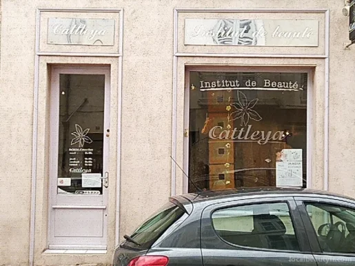 Institut Cattleya Centre d'Expertise cutanée DERMO-ANALYSTE, Auvergne-Rhône-Alpes - 