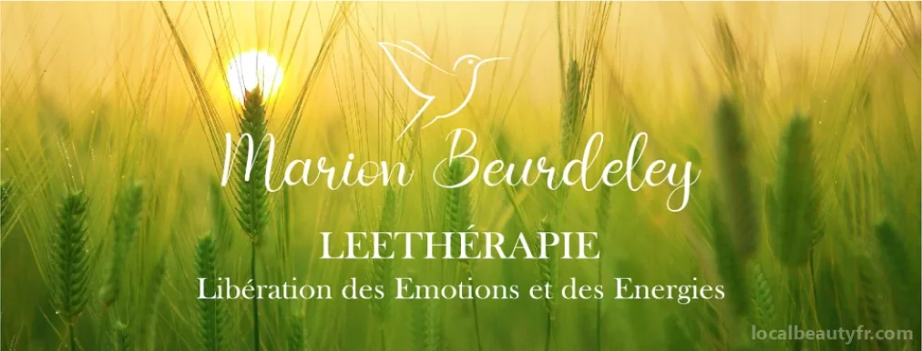 Secteur Dijon - Leetherapie Marion Beurdeley, Bourgogne-Franche-Comté - 