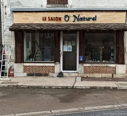 Le salon o'naturel, Bourgogne-Franche-Comté - Photo 1
