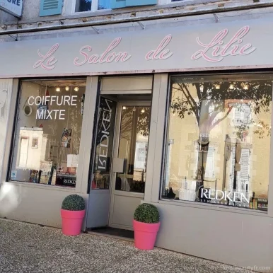 Le Salon De Lilie, Bourgogne-Franche-Comté - Photo 2