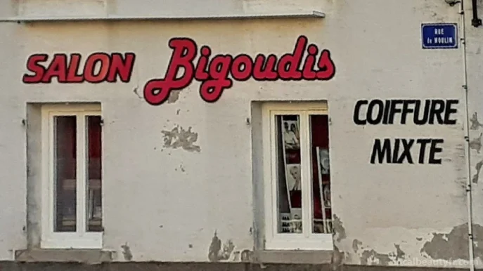 Bigoudis, Bourgogne-Franche-Comté - Photo 2