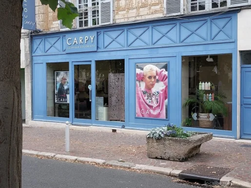 CARPY Coiffeur Coloriste, Centre-Val de Loire - 