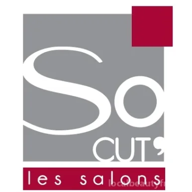 So cut les Salons, Grand Est - Photo 1