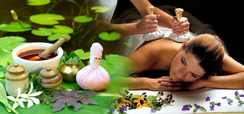 AYUR'DEV, Massages Ayurvédiques, produits de bien-être Bio, Île-de-France - Photo 3