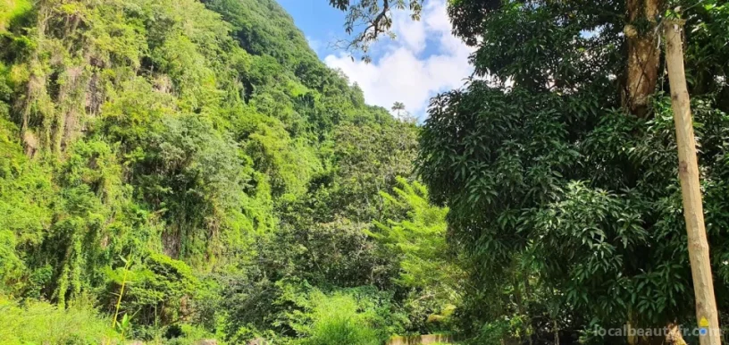Toboggan Naturel du Carbet, Martinique - Photo 1