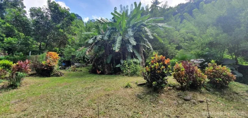 Toboggan Naturel du Carbet, Martinique - Photo 4