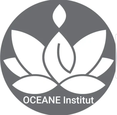 Institut Oceane, Nouvelle-Aquitaine - Photo 8