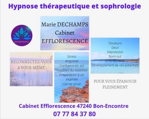 Efflorescence sophrologie et hypnose thérapeutique, Nouvelle-Aquitaine - Photo 3