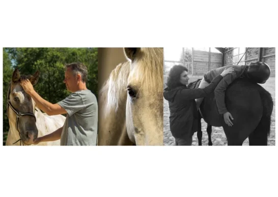 Nouvel Acte - Médiation avec le cheval Equicoaching Equithérapie, Occitanie - Photo 4