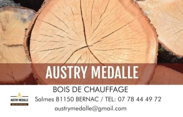 Médalle Bois, Occitanie - 
