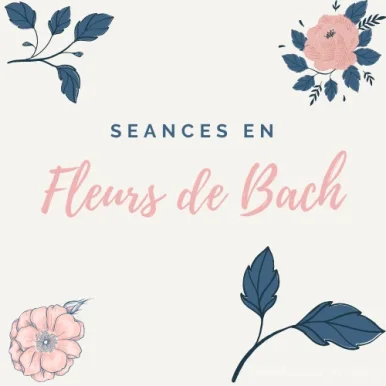 Osaura - Fleur de Bach, Lithothérapie, radiesthésie, guidances, bijoux, Occitanie - Photo 2