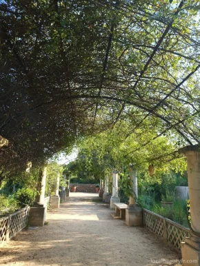 Jardin Antique Méditerranéen, Occitanie - Photo 3