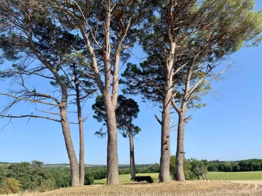Connexion Entre Terre et Ciel, Pays de la Loire - Photo 3