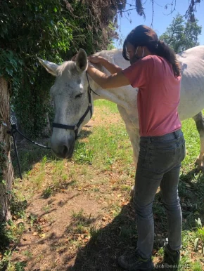 Delphine Vandecasteele - Masseur équin et canin - Sport et bien être, Provence-Alpes-Côte d'Azur - Photo 3