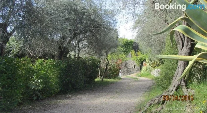 Villa des oliviers, Provence-Alpes-Côte d'Azur - Photo 1