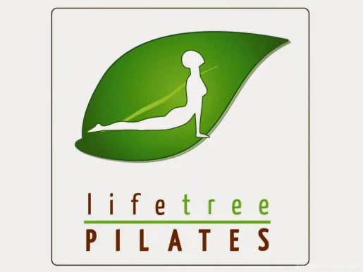Life Tree Pilates, Provence-Alpes-Côte d'Azur - 