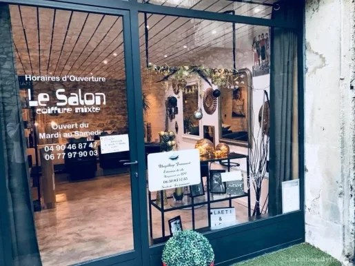 Le Salon, Provence-Alpes-Côte d'Azur - Photo 3