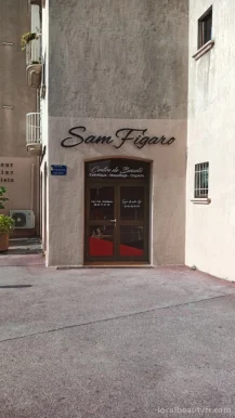 Sam Figaro, Toulon - Photo 4