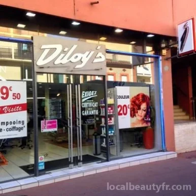 Diloy's Toulouse - Pujol, Toulouse - Photo 3